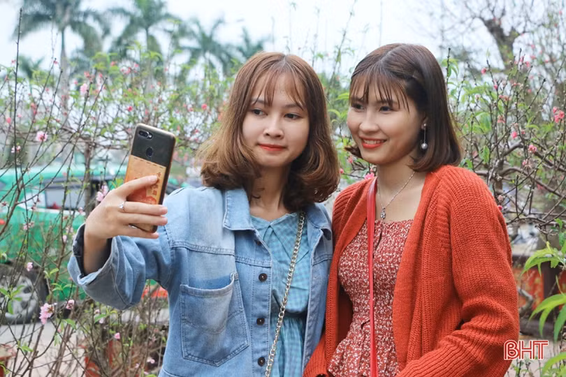 Ra phố hoa Hà Tĩnh mang Xuân về nhà