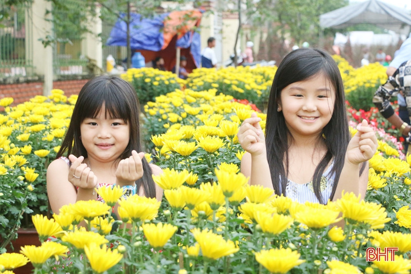 Ra phố hoa Hà Tĩnh mang Xuân về nhà