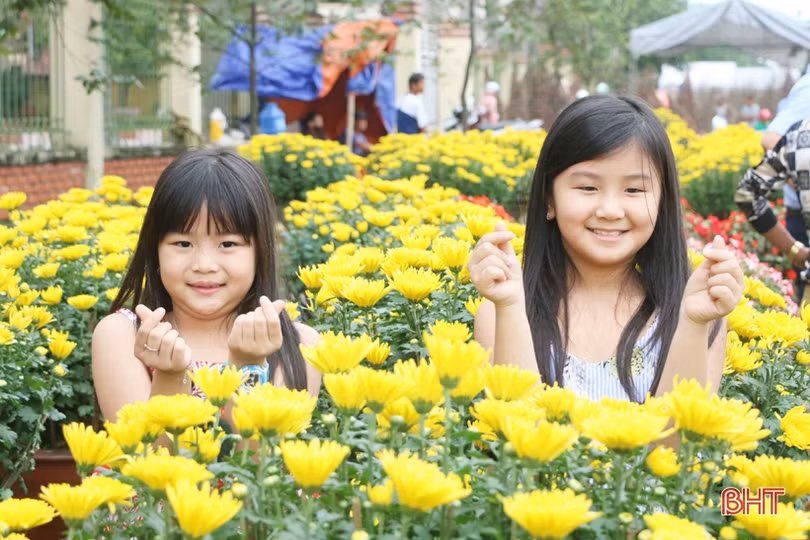 Ra phố hoa Hà Tĩnh mang Xuân về nhà