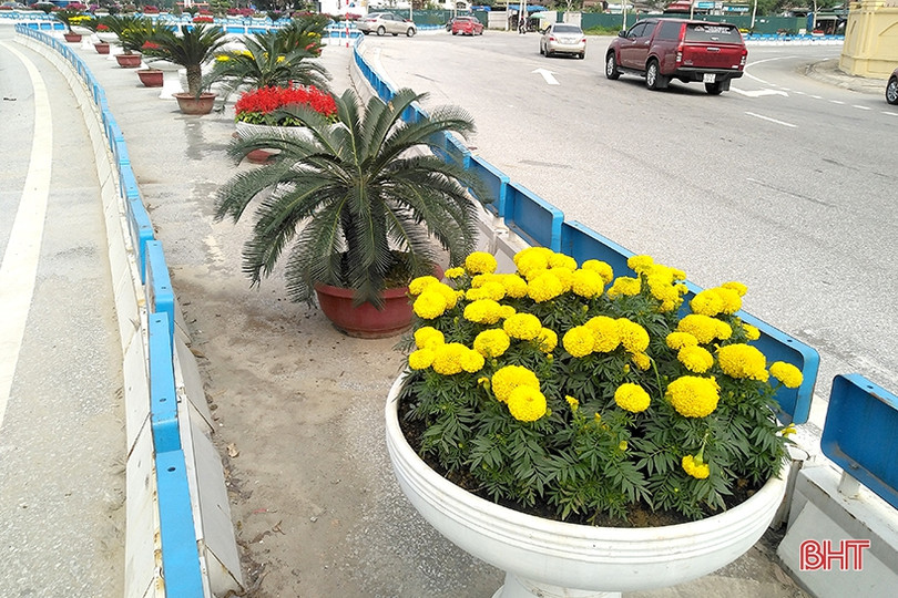 Xuân về rực rỡ trên đô thị phía Bắc Hà Tĩnh