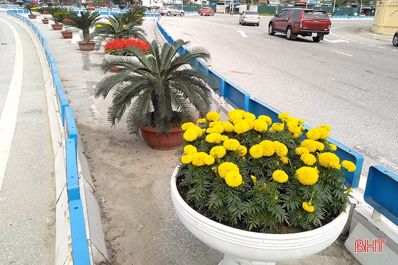 Xuân về rực rỡ trên đô thị phía Bắc Hà Tĩnh