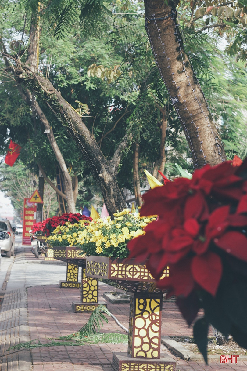 Ngắm Thành Sen đẹp dịu dàng, mộc mạc trong chiều cuối năm