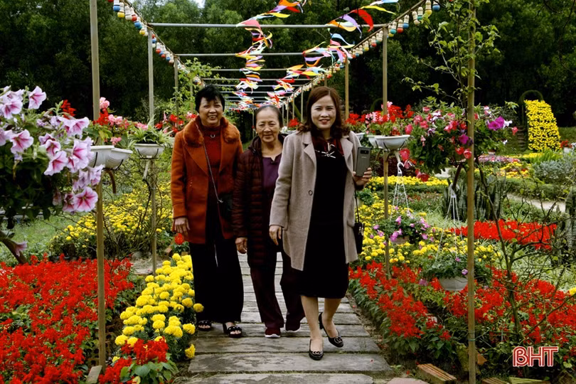 Hoa xuân Đồng Nôi rực rỡ hút khách những ngày đầu năm mới