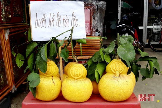 Mê mẩn bưởi hồ lô, bưởi thỏi bạc tạo hình tài - lộc của nông dân Hà Tĩnh