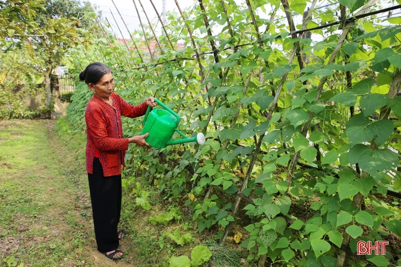 Đột phá trong lãnh đạo, chỉ đạo, Thành Sen “bung nở” đón xuân