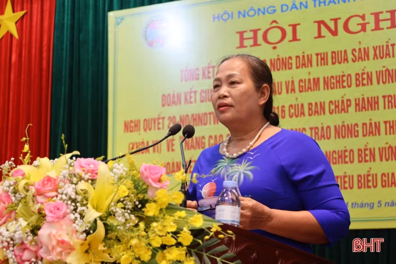 TP Hà Tĩnh đẩy mạnh phong trào nông dân thi đua sản xuất, kinh doanh giỏi ảnh 4 TP Hà Tĩnh đẩy mạnh phong trào nông dân thi đua sản xuất, kinh doanh giỏi