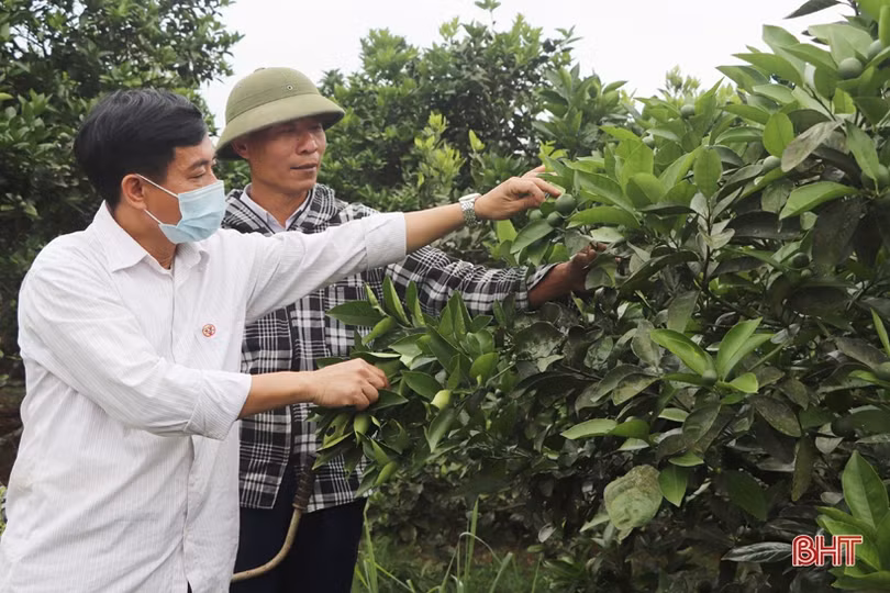 Chi hội trưởng nông dân miền núi say mê việc hội, làm kinh tế giỏi