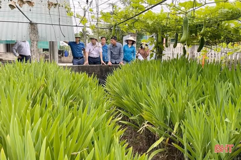 Cẩm Xuyên huy động hơn 2 tỷ đồng từ xã hội hóa phục vụ xây dựng nông thôn mới