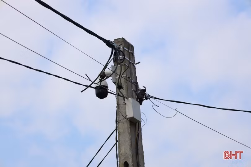 Theo dõi sinh trưởng của cây cam bằng điện thoại di động