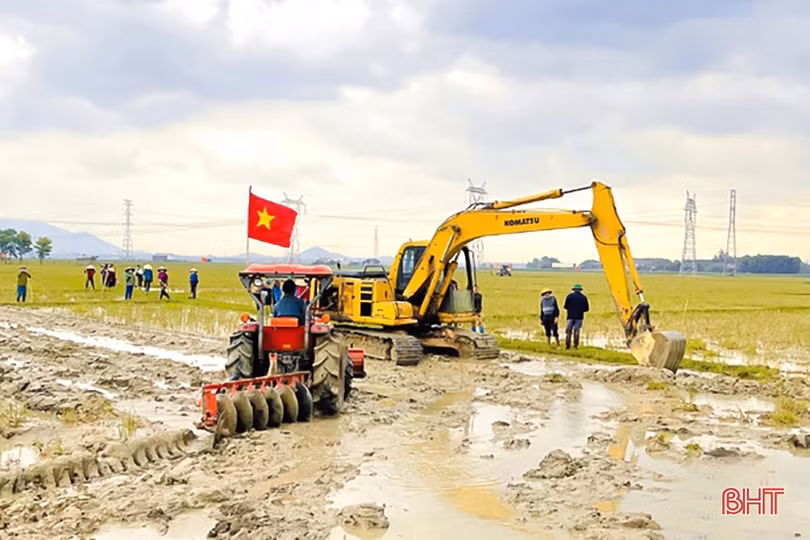Cánh đồng chuyển đổi ruộng đất khẳng định ưu thế trong sản xuất ở Kỳ Anh