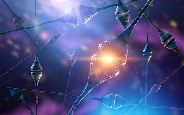 Các nhà khoa học Israel phát hiện cơ chế đột biến gene gây chứng tự kỷ