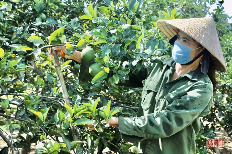 Hơn 3.300 bài thi viết về Đình nguyên Tiến sỹ Phan Đình Phùng và huyện Vũ Quang