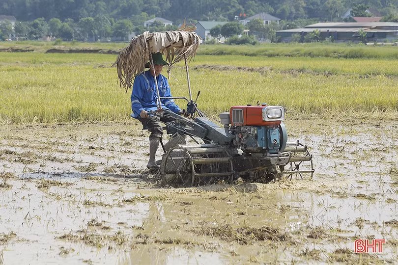 Can Lộc thưởng các xã hoàn thành sản xuất hè thu trước 5/6