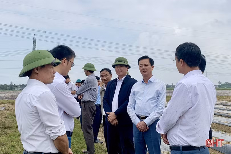 Các đồng chí lãnh đạo UBND tỉnh động viên sản xuất đầu năm