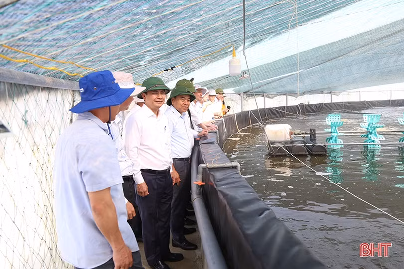 Các đồng chí lãnh đạo UBND tỉnh động viên sản xuất đầu năm