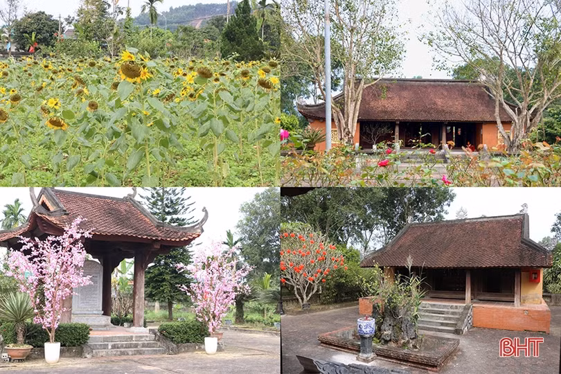 Sẵn sàng chờ ngày khai hội Hải Thượng Lãn Ông