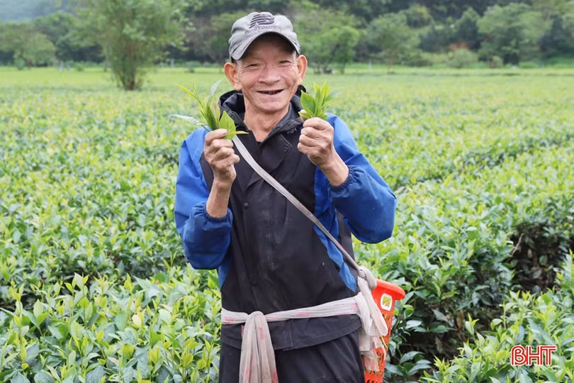 Dự báo Hà Tĩnh chỉ còn 4 ngày thời tiết đẹp trước khi đón đợt mưa rét