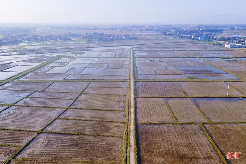 Tăng tốc thực hiện nhiệm vụ phát triển KT-XH những ngày cuối năm