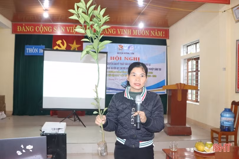 Chuyển giao kỹ thuật trồng cam hữu cơ cho thanh niên Hương Sơn