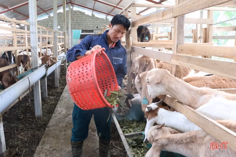 Xã đội phó ở Hương Sơn đảm việc xã hội, giỏi làm kinh tế