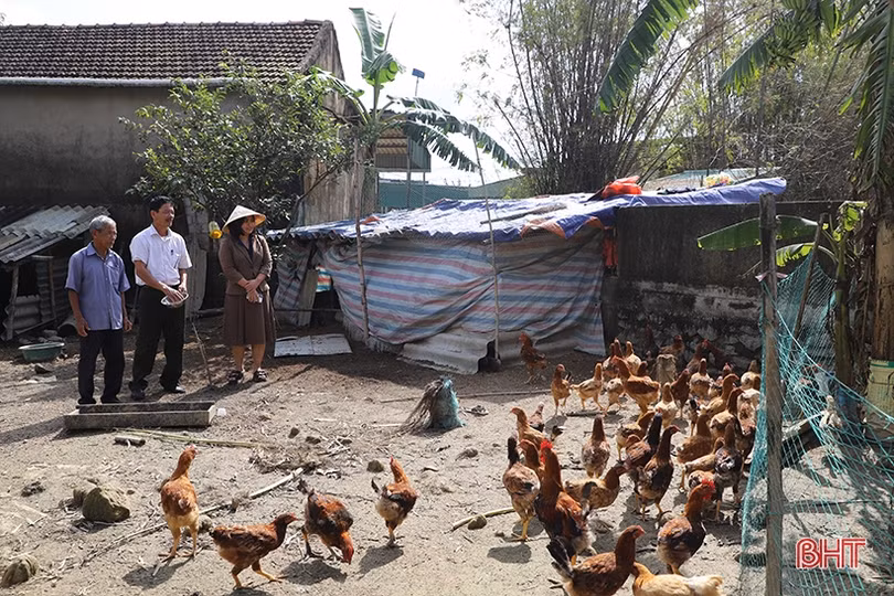 Mô hình sinh kế tiếp sức cho người nghèo TP Hà Tĩnh