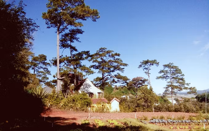 lang phap gan mot the ky o trung tam da lat