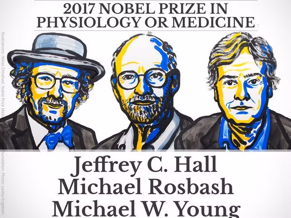 giai nobel y hoc nam 2017 thuoc ve bo ba nha khoa hoc my