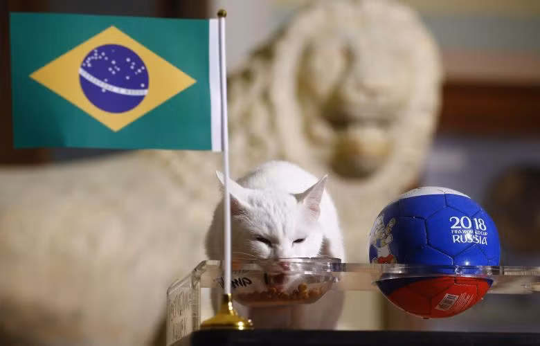 Những nhà tiên tri động vật ở World Cup 2018