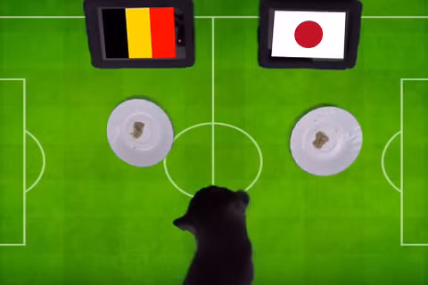 Dự đoán kết quả trận Bỉ vs Nhật Bản rạng sáng 3/7