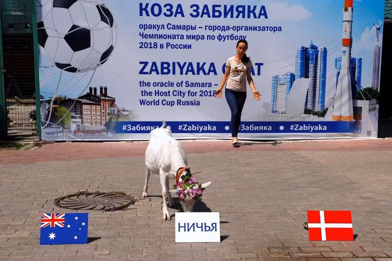Những nhà tiên tri động vật ở World Cup 2018