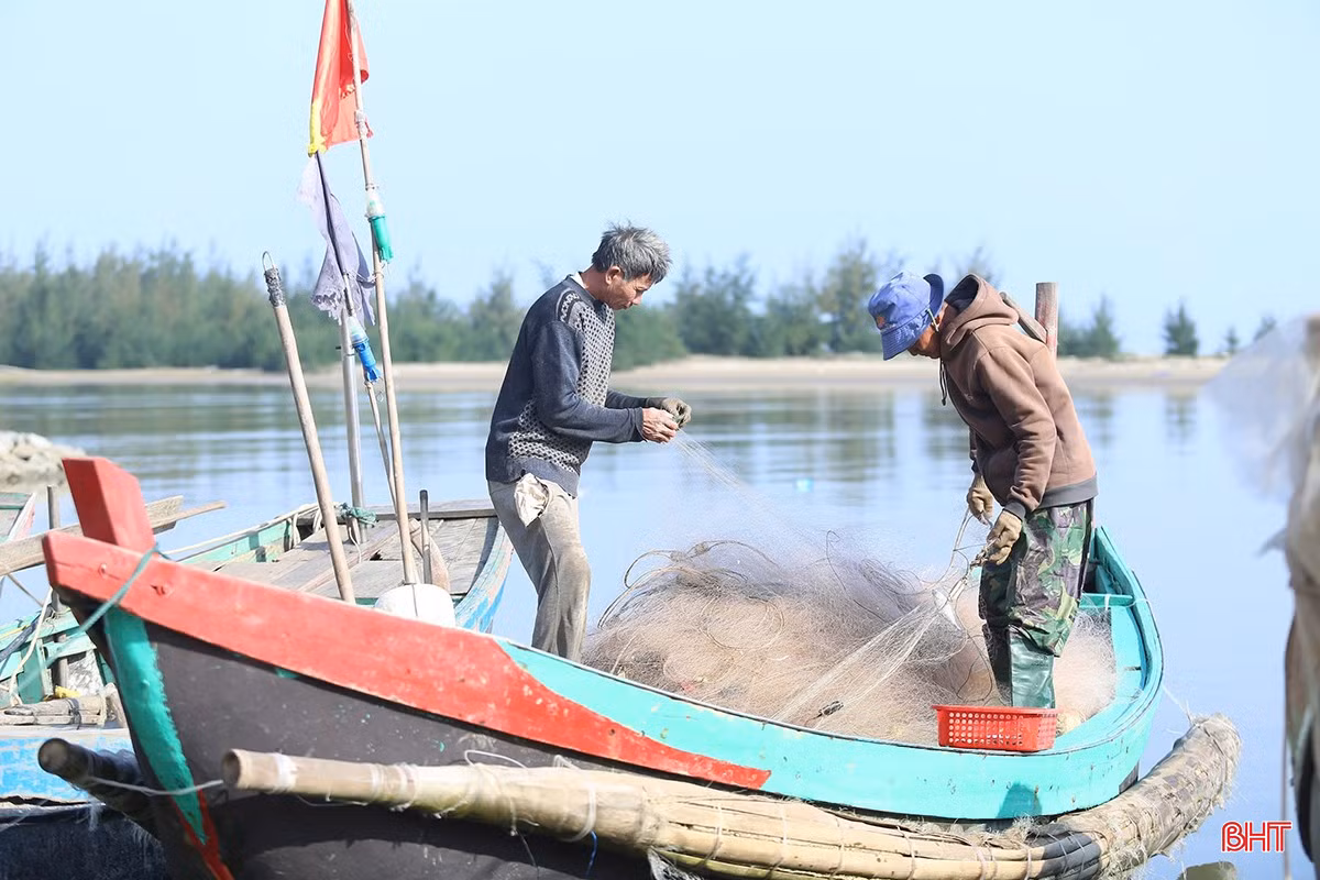 Cũng giống như ở Thịnh Lộc, những ngày này, người dân miền biển Cương Gián (Nghi Xuân), hay Cẩm Nhượng (Cẩm Xuyên)... đều hết sức bận rộn với công việc vươn khơi.