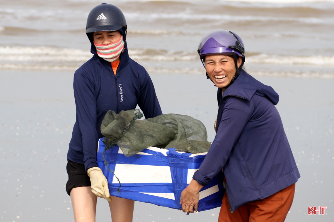 Ngư dân làng biển phía Nam Hà Tĩnh trúng đậm cá cháo, thu tiền triệu mỗi ngày