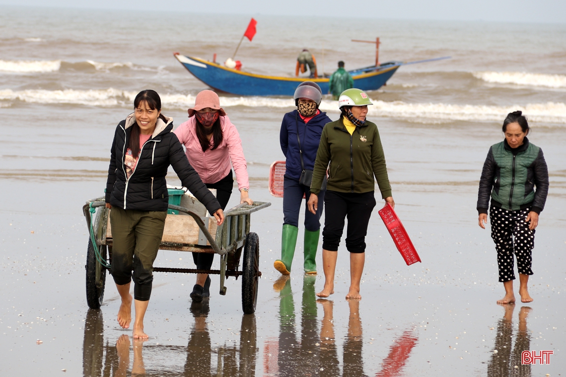 Ngư dân làng biển phía Nam Hà Tĩnh trúng đậm cá cháo, thu tiền triệu mỗi ngày