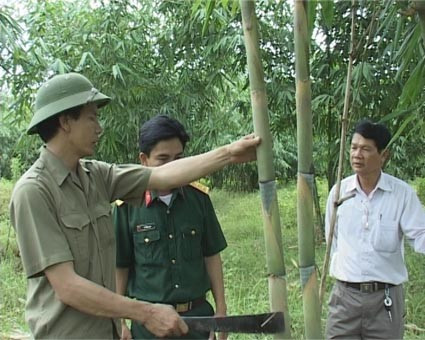Phạm Xuân Ánh luôn là người thương binh "tàn nhưng không phế" Phạm Xuân Ánh luôn là người thương binh "tàn nhưng không phế"