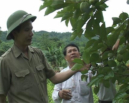 Phạm Xuân Ánh và những quả ngọt sau bao mùa giông bão Phạm Xuân Ánh và những quả ngọt sau bao mùa giông bão