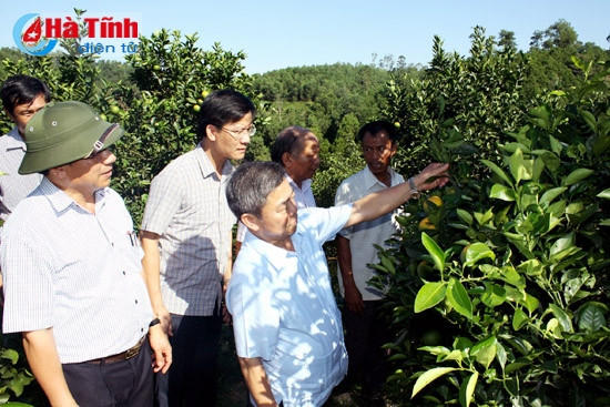 Tập trung "4 hóa" trong sản xuất, tiếp tục nâng cao đời sống nhân dân ảnh 5