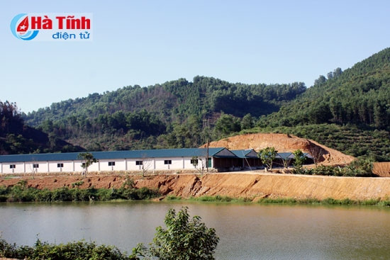 Tập trung "4 hóa" trong sản xuất, tiếp tục nâng cao đời sống nhân dân ảnh 3