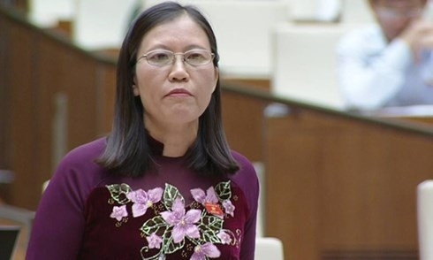 Đại biểu Quốc hội: Lách luật, hàng triệu tấn xăng dầu “quên” tái xuất? ảnh 1