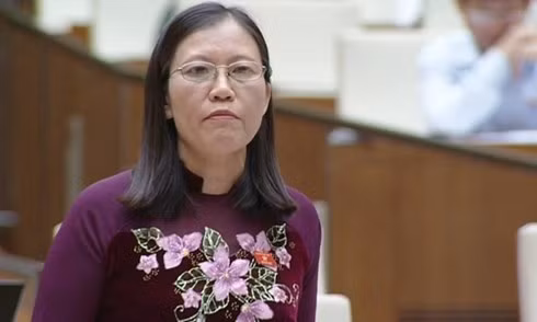 Đại biểu Quốc hội: Lách luật, hàng triệu tấn xăng dầu “quên” tái xuất? ảnh 1