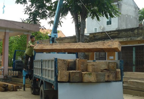 Tạm giữ lâm sản tập kết trên địa bàn xã Phú Gia vào chiều ngày 28 - 5 để tiếp tục điều tra làm rõ đối tượng Tạm giữ lâm sản tập kết trên địa bàn xã Phú Gia vào chiều ngày 28 - 5 để tiếp tục điều tra làm rõ đối tượng