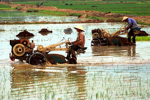 Bên cạnh việc thu hoạch bằng phương pháp thủ công truyền thống, người dân quê tôi đã mạnh dạn đưa cơ giới vào đồng ruộng, đẩy nhanh tiến độ thu hoạch Niềm vui được mùa đang hiện lên trên mỗi khuôn mặt những người lao động tần tảo, nhọc nhằn một nắng hai sương "Đồng quê hôm nay vui với thóc lúa mới Cho bõ công cày cấy bao ngày mong chờ" Lúa được tuốt ngay từ ngoài đồng và được phơi phong, sàng sẩy kỹ lưỡng trước khi đưa về nhà Mất điện - nỗi ám ảnh của người dân khi mùa thu hoạch đến Rơm được chở về làm thức ăn dự trữ cho trâu bò trong những ngày đông giá rét Vài năm trở lại đây, tình trạng đốt rơm, rạ diễn ra ngày càng phổ biến sau mùa gặt, gây ra những ảnh hưởng tiêu cực không nhỏ đến môi trường và sức khỏe của người dân. Như tranh chấp với thời gian, với đất trời, các nông dân đang đẩy nhanh tiến độ thu hoạch để giải phóng đồng ruộng và chuẩn bị bước vào một vụ mới - vụ hè thu với không ít những khó khăn đang chờ đợi ở phía trước.