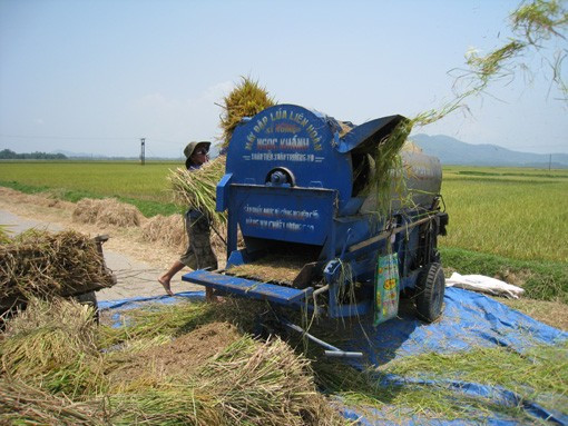 Bên cạnh việc thu hoạch bằng phương pháp thủ công truyền thống, người dân quê tôi đã mạnh dạn đưa cơ giới vào đồng ruộng, đẩy nhanh tiến độ thu hoạch Niềm vui được mùa đang hiện lên trên mỗi khuôn mặt những người lao động tần tảo, nhọc nhằn một nắng hai sương "Đồng quê hôm nay vui với thóc lúa mới Cho bõ công cày cấy bao ngày mong chờ" Lúa được tuốt ngay từ ngoài đồng và được phơi phong, sàng sẩy kỹ lưỡng trước khi đưa về nhà Mất điện - nỗi ám ảnh của người dân khi mùa thu hoạch đến Rơm được chở về làm thức ăn dự trữ cho trâu bò trong những ngày đông giá rét Vài năm trở lại đây, tình trạng đốt rơm, rạ diễn ra ngày càng phổ biến sau mùa gặt, gây ra những ảnh hưởng tiêu cực không nhỏ đến môi trường và sức khỏe của người dân. Như tranh chấp với thời gian, với đất trời, các nông dân đang đẩy nhanh tiến độ thu hoạch để giải phóng đồng ruộng và chuẩn bị bước vào một vụ mới - vụ hè thu với không ít những khó khăn đang chờ đợi ở phía trước.