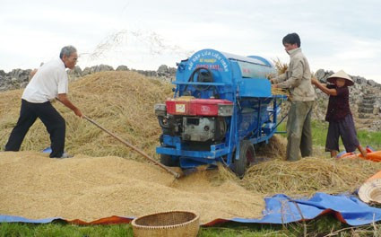Gia đình ông Hồng đã mạnh dạn đầu tư máy đập lúa liên hoàn để phục vụ sản xuất
