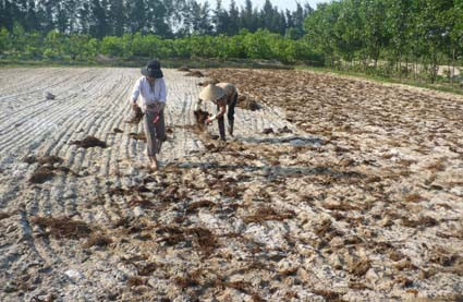 Hội KH&KT nông nghiệp được Quỹ UNDP đánh giá cao trong việc tham gia tư vấn xây dựng thành công làng sinh thái Đông Bạn (Thạch Văn) Hội KH&KT nông nghiệp được Quỹ UNDP đánh giá cao trong việc tham gia tư vấn xây dựng thành công làng sinh thái Đông Bạn (Thạch Văn)