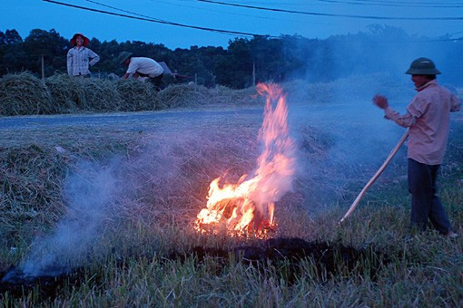 Bên cạnh việc thu hoạch bằng phương pháp thủ công truyền thống, người dân quê tôi đã mạnh dạn đưa cơ giới vào đồng ruộng, đẩy nhanh tiến độ thu hoạch Niềm vui được mùa đang hiện lên trên mỗi khuôn mặt những người lao động tần tảo, nhọc nhằn một nắng hai sương "Đồng quê hôm nay vui với thóc lúa mới Cho bõ công cày cấy bao ngày mong chờ" Lúa được tuốt ngay từ ngoài đồng và được phơi phong, sàng sẩy kỹ lưỡng trước khi đưa về nhà Mất điện - nỗi ám ảnh của người dân khi mùa thu hoạch đến Rơm được chở về làm thức ăn dự trữ cho trâu bò trong những ngày đông giá rét Vài năm trở lại đây, tình trạng đốt rơm, rạ diễn ra ngày càng phổ biến sau mùa gặt, gây ra những ảnh hưởng tiêu cực không nhỏ đến môi trường và sức khỏe của người dân. Như tranh chấp với thời gian, với đất trời, các nông dân đang đẩy nhanh tiến độ thu hoạch để giải phóng đồng ruộng và chuẩn bị bước vào một vụ mới - vụ hè thu với không ít những khó khăn đang chờ đợi ở phía trước.