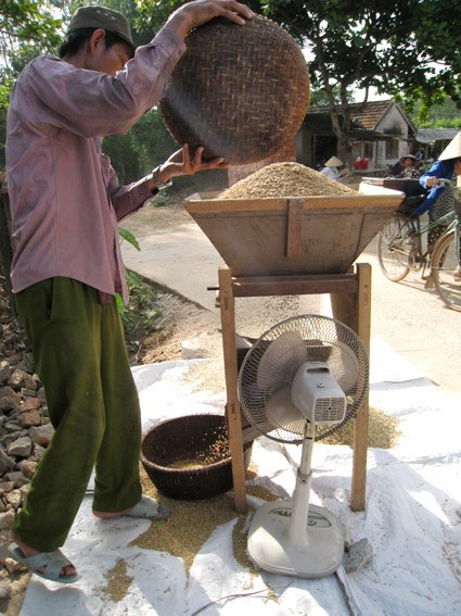 Bên cạnh việc thu hoạch bằng phương pháp thủ công truyền thống, người dân quê tôi đã mạnh dạn đưa cơ giới vào đồng ruộng, đẩy nhanh tiến độ thu hoạch Niềm vui được mùa đang hiện lên trên mỗi khuôn mặt những người lao động tần tảo, nhọc nhằn một nắng hai sương "Đồng quê hôm nay vui với thóc lúa mới Cho bõ công cày cấy bao ngày mong chờ" Lúa được tuốt ngay từ ngoài đồng và được phơi phong, sàng sẩy kỹ lưỡng trước khi đưa về nhà Mất điện - nỗi ám ảnh của người dân khi mùa thu hoạch đến Rơm được chở về làm thức ăn dự trữ cho trâu bò trong những ngày đông giá rét Vài năm trở lại đây, tình trạng đốt rơm, rạ diễn ra ngày càng phổ biến sau mùa gặt, gây ra những ảnh hưởng tiêu cực không nhỏ đến môi trường và sức khỏe của người dân. Như tranh chấp với thời gian, với đất trời, các nông dân đang đẩy nhanh tiến độ thu hoạch để giải phóng đồng ruộng và chuẩn bị bước vào một vụ mới - vụ hè thu với không ít những khó khăn đang chờ đợi ở phía trước.