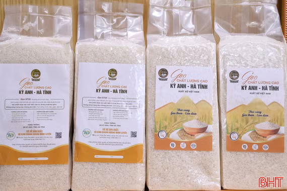 Nâng tầm sản phẩm gạo Kỳ Anh - Hà Tĩnh
