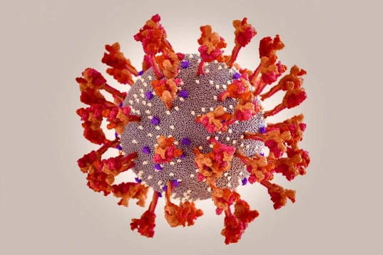 Nghiên cứu quốc tế: Omicron tự nhân bản nhanh hơn Delta 70 lần trong đường hô hấp