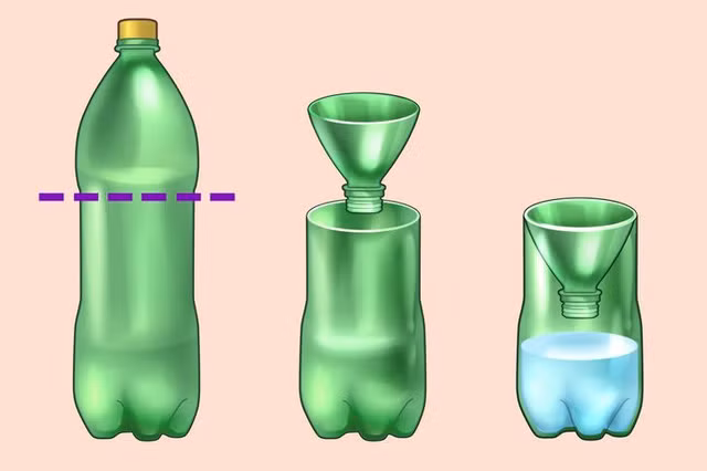 6 mẹo giúp nhà bạn “sạch bóng” côn trùng mà không dùng chất hóa học