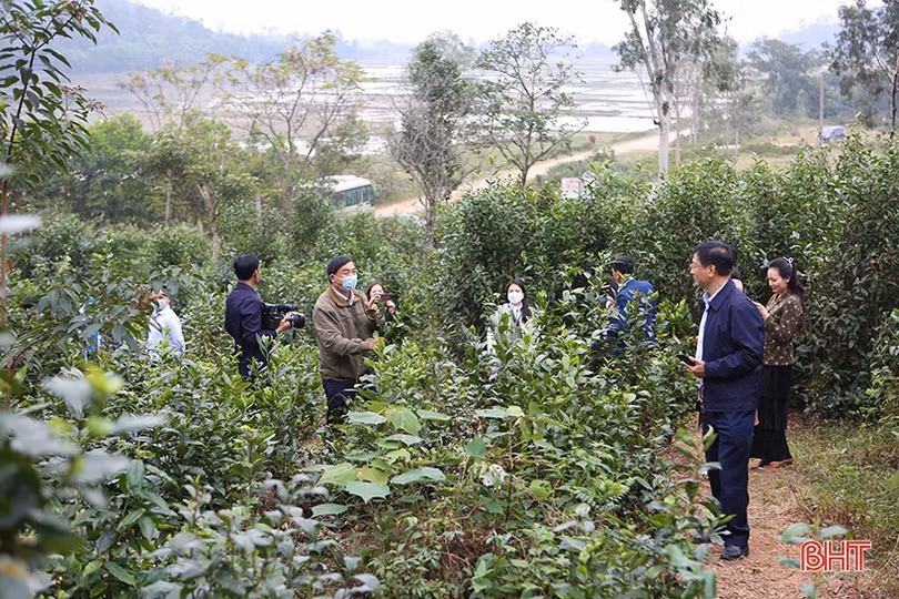 Sẽ xây dựng tour/tuyến kết nối du khách gắn với sản phẩm OCOP Hà Tĩnh